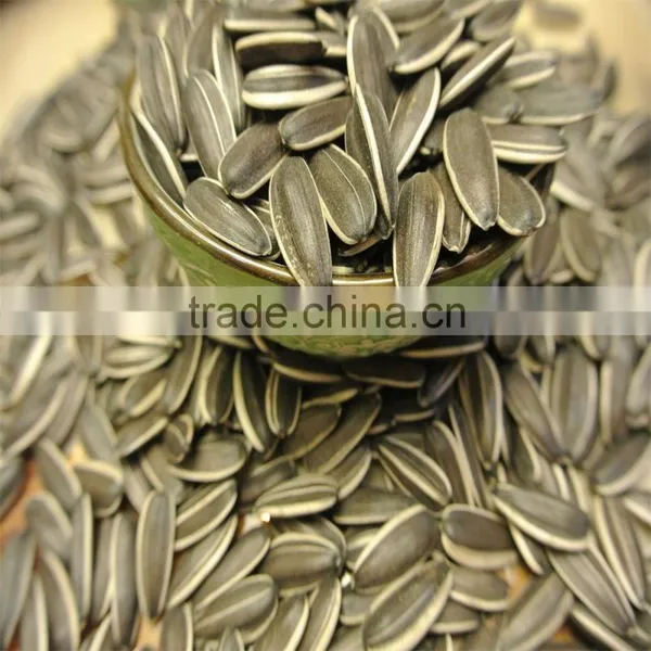 2016 New Crop Sunflower Seeds 3638 Market Price photo-3