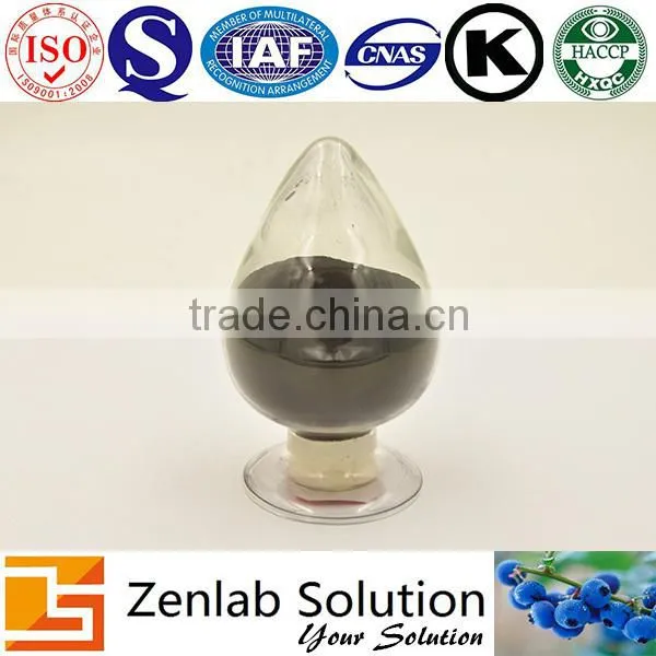 Chinese Bilberry P.e, GMP Bilberry Powder, Chinese Bilberry Powder photo-2