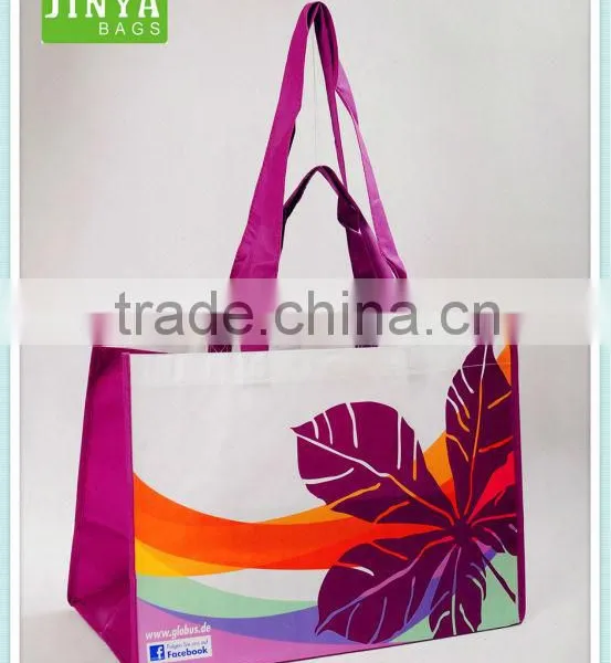 Fashion Shopping Bag on Sale,nice Bag ,pp Woven Bag