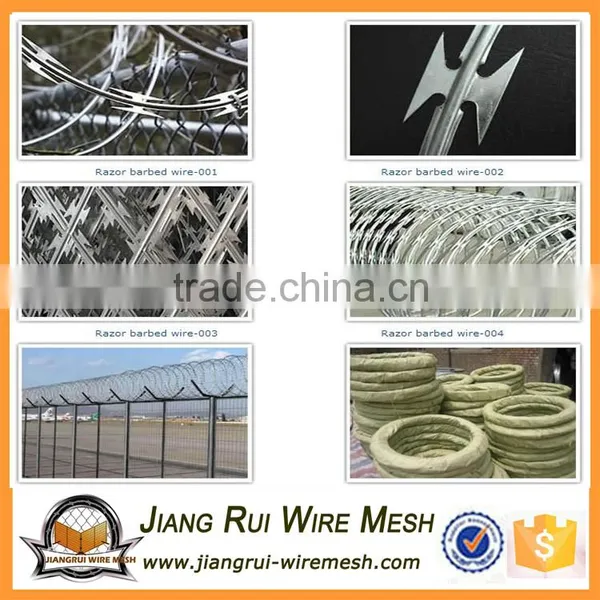 Best Quality Cheapest Price Barbed Wire for Sale photo-6