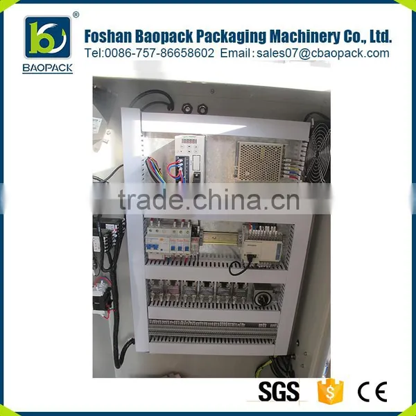 Automatic Vacum Cheese Salt Packing Machine photo-6