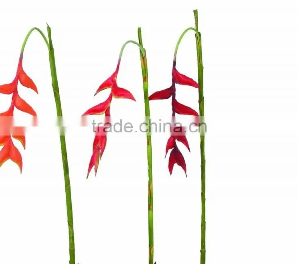 Artificial Hanging Heliconia YL146 photo-3