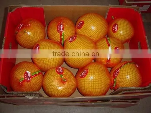 Pomelo
