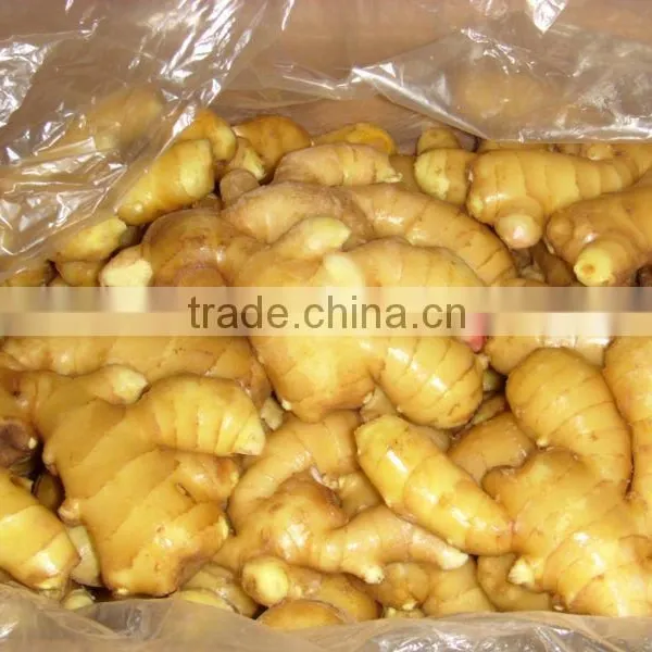 Fresh Ginger and Air-dried Ginger