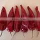 Chinese Supplier Wholesales Export Dried Red Chilli Import From China photo-5