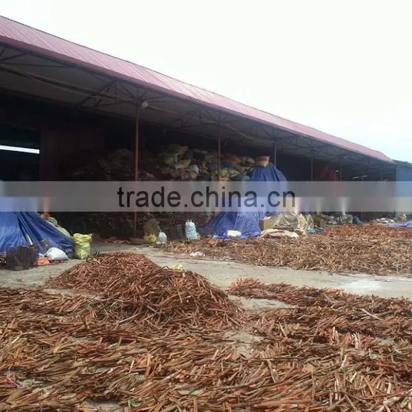 VIETNAM SPLIT CASSIA photo-2