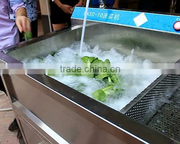 WASC-10 High Efficiency Leaf Vegetable Washer Cleaner Cleaning Machine photo-4