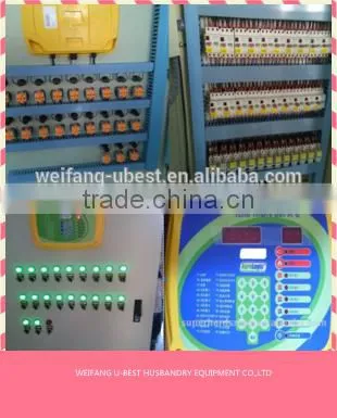 Industrial Poultry Equipment Chicken Farm photo-4