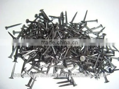 Shoe Tack Nails photo-2
