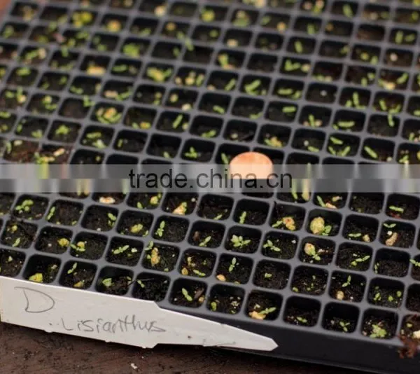 420 Cell Black HIPS Vegetable Plants Seed Nursery Trays, Stock MOQ 1000pcs photo-5