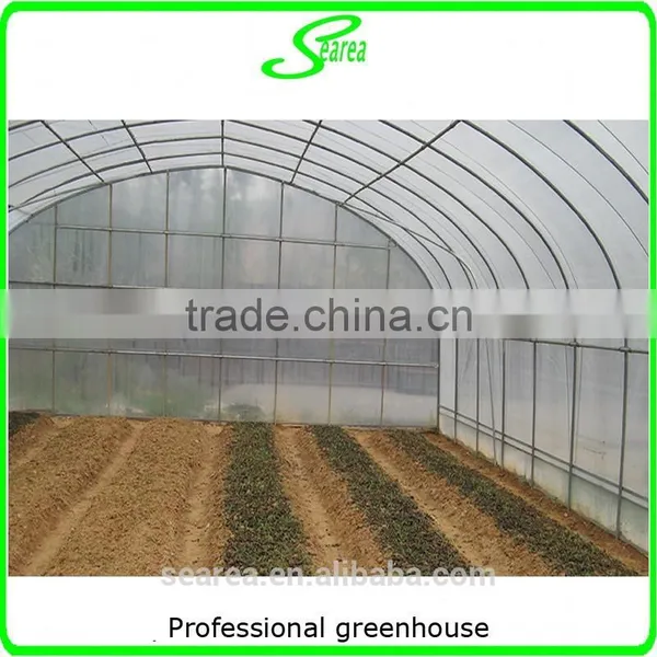 Greenhouse Project Cheap Commercial Agricultural Low Cost Greenhouse photo-5