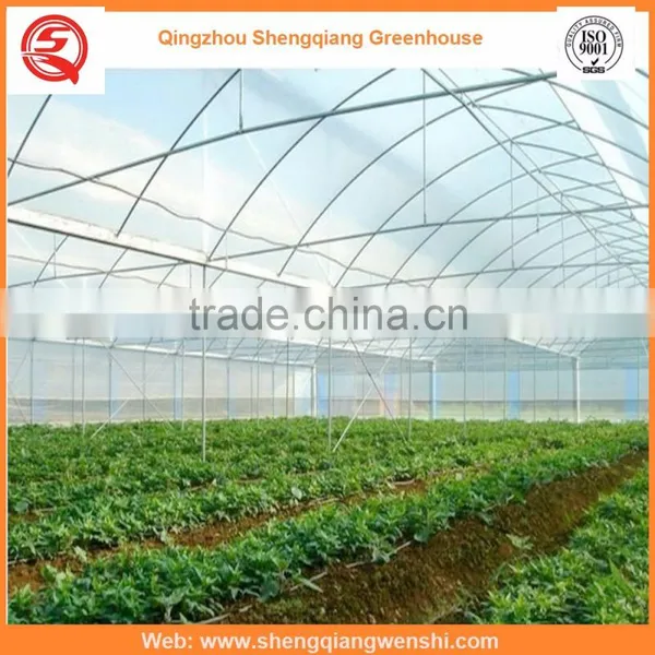 Agriculture Equipment Multi-span 6.0m Plastic PE Film Agriculture Greenhouse for Sale photo-5