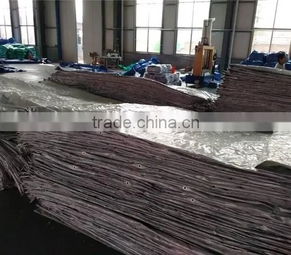 Tunnel Plastic Greenhouse Film Agriculture, Waterproofing Greenhouse Film photo-3
