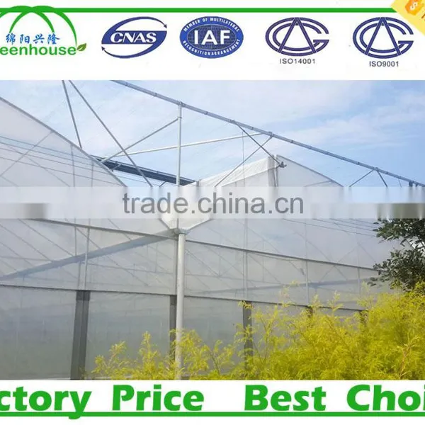 Commercial Metalic Greenhouse photo-6