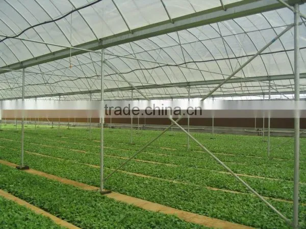 Nursery Greenhouse photo-3