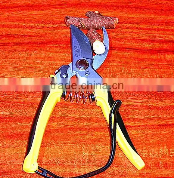 BY-pass Pruners photo-6