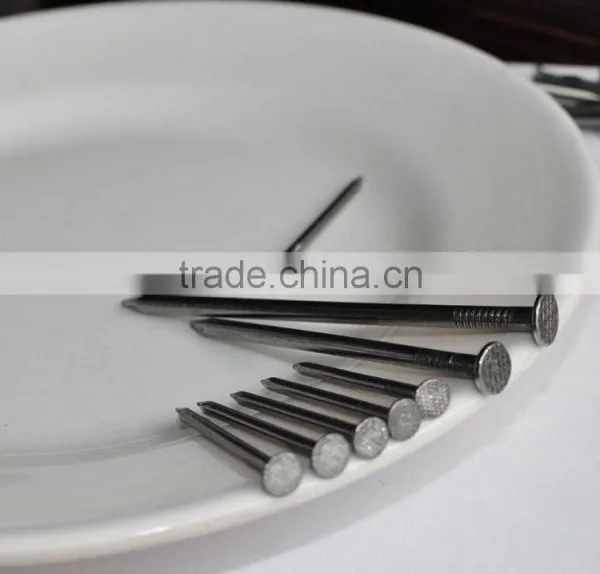 China Factory Common Wire Nail Products photo-2