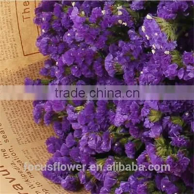 Factory Price Supply Online Shopping Statice Good Quanlity for Anniversary photo-4
