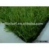 Low Cost Landscaping Grass