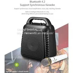 S90 Voice Amplifier photo-3