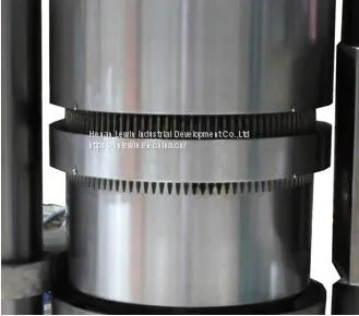 Professional Cold Press Hydraulic Small Olive Oil Press Machine for Hot Sale photo-4