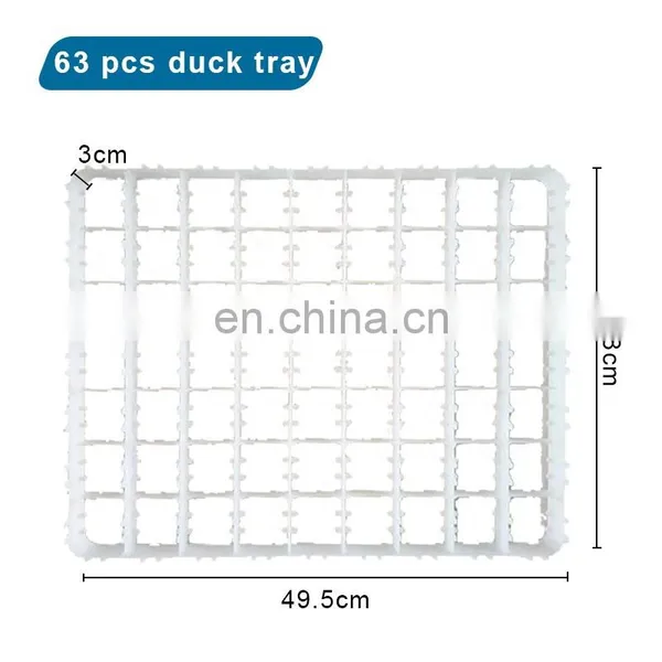 Incubator Egg Trays/poultry Egg Trays/pigeons Egg Tray photo-4