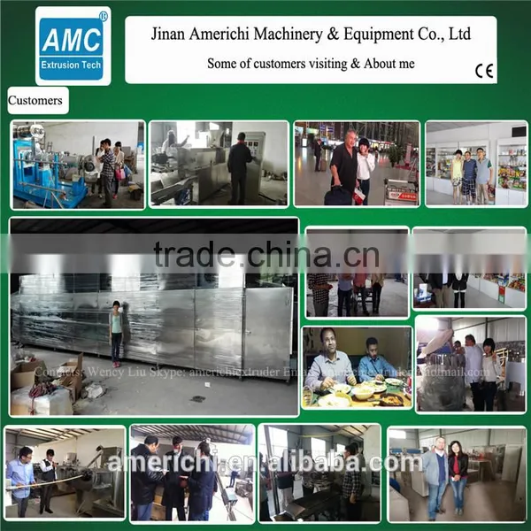 Snackfood Dog Food Fish Food Production Machine Made in China photo-2