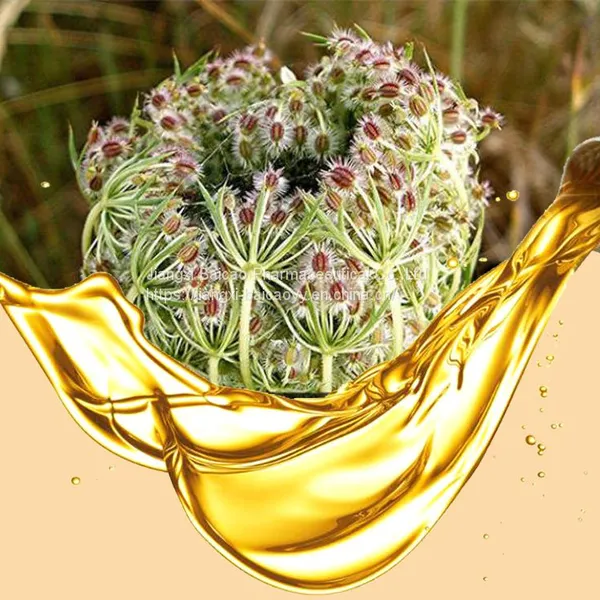 Bulk Sale Cosmetic Raw Material Carrot Seed Oil For Skin Whitehing photo-3