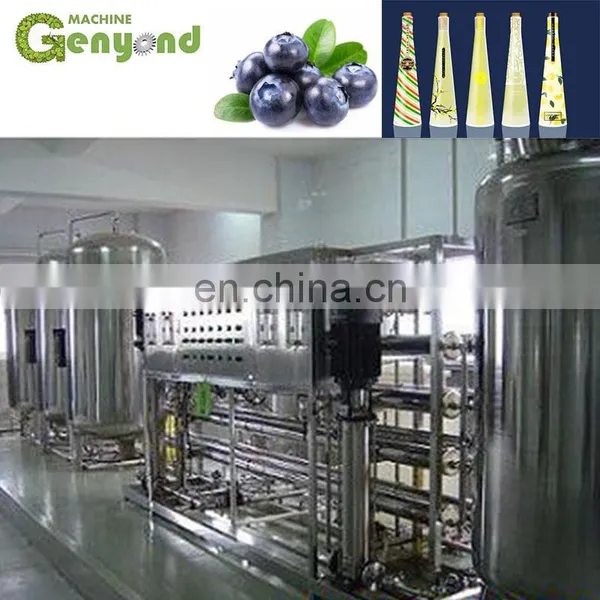 Berry Apple Wine Making Machine photo-2