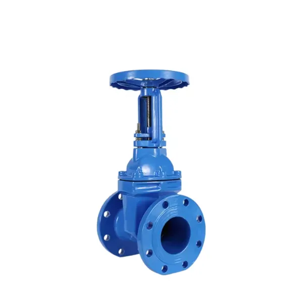 Resilient Seated Ductile Iron Gate Valve Soft Seal Globe Check Non Return Valve Z41X-16Q photo-3
