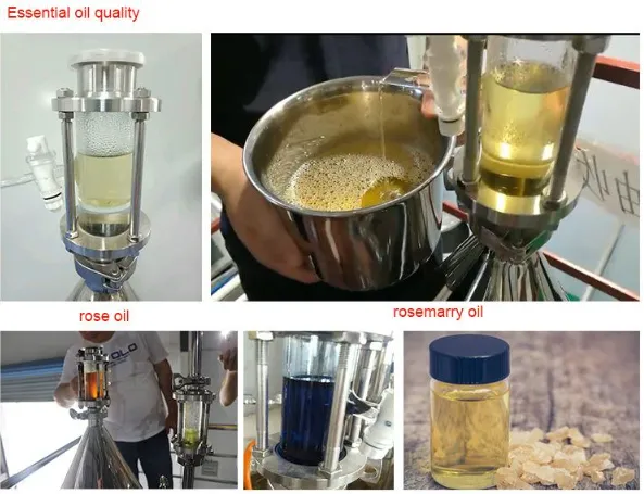 Rose Essential Oil Extraction4 photo-3