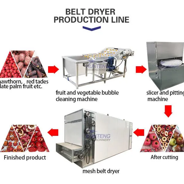 Industrial Vegetable Dryer Beetroot Carrot Drying Machine Onion Ginger Washing Cutting Drying Line EPC photo-4