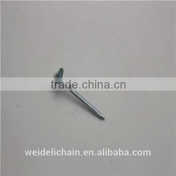 Competitive Price BWG10X2.5" Roofing Nails photo-2