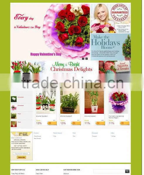 Shop Website photo-2