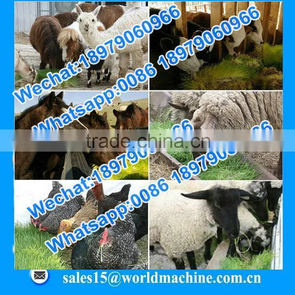 Best Quality Hydroponic Grass Room/ Barley Fodder Growing System for Growing Animal Feed photo-3