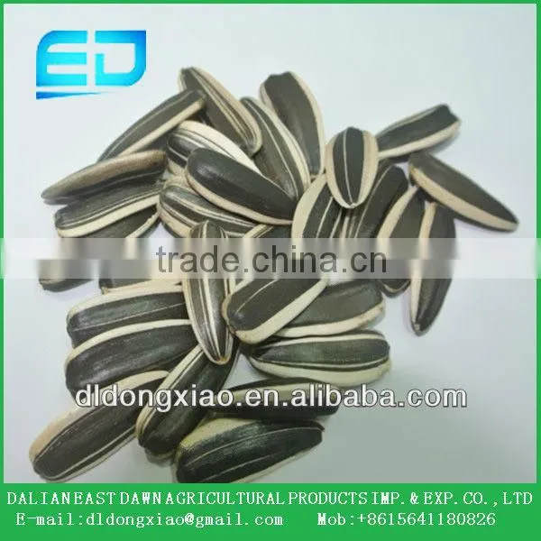 Chinese Wholesale Sunflower Seeds With Good Quality 2015 New Crop 5009 363 0409 photo-2