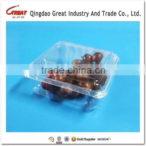 Plastic Blueberry Packaging Container 125 Gram photo-6