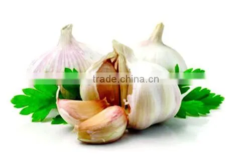 Garlic Oil FCC photo-5