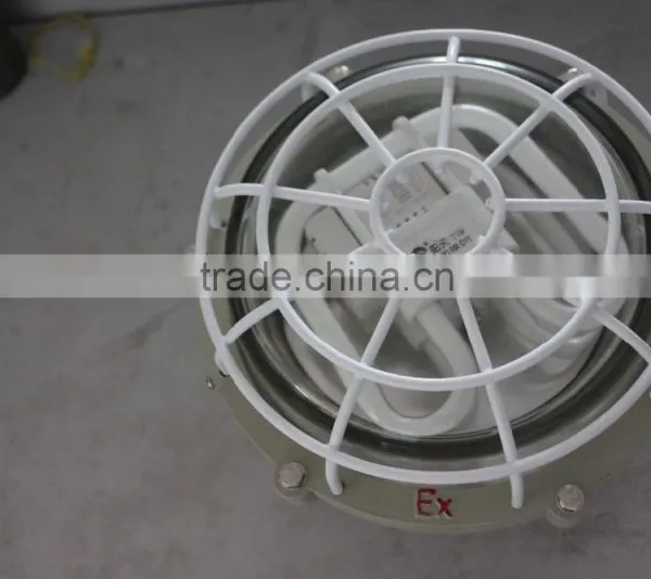 Ccd96 Explosion Proof Maintenance Free Energy Saving Lighting photo-2