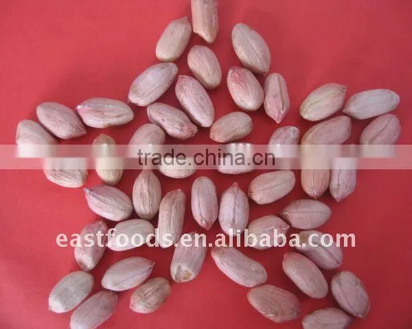 Long Type Peanut Kernel From China photo-4