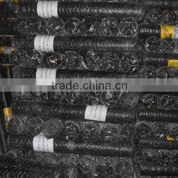 Cheap Price High Quality Chicken Coop Hexagonal Wire Mesh photo-3
