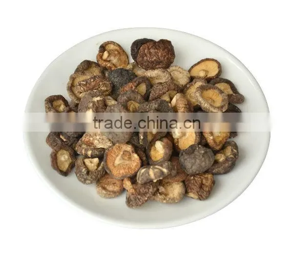 Mushroom Extract photo-2