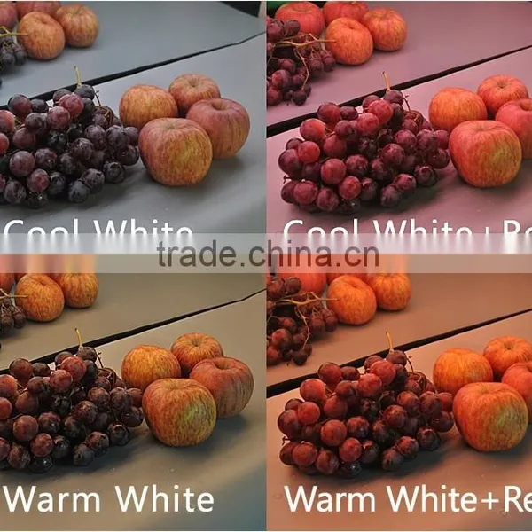 DC24V Warm White Cool White and Red Color in One Led Strip Light Led Food Light
