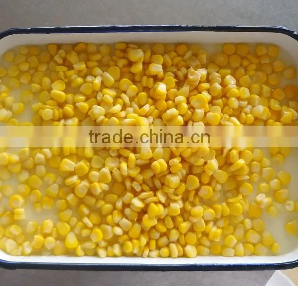 Export Canned Sweet Yellow Corn 340gx24tin photo-2