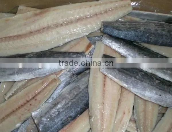 Spanish Mackerel Fillet