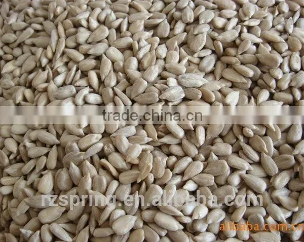 BAKERY GRADE SUNFLOWER SEED KERNELS photo-2
