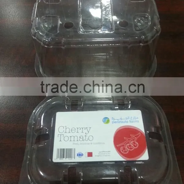 PET GAG FILM FOR PACKAGING photo-4
