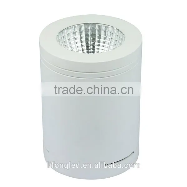 Aluminum 3 Inch Cold White Surface Mounted 18w COB Led Downlight photo-3