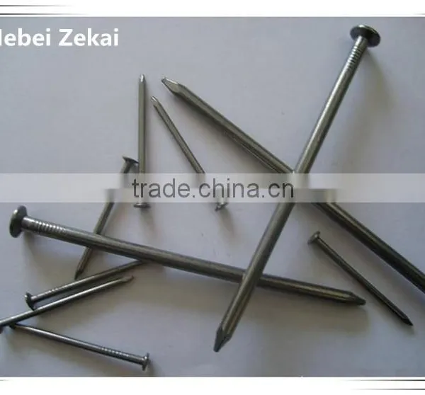 High Quality Common Iron Nails/iron Wire Nails Price photo-3