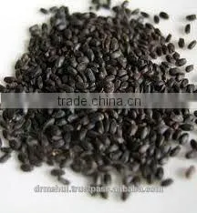 CHIA SEED
